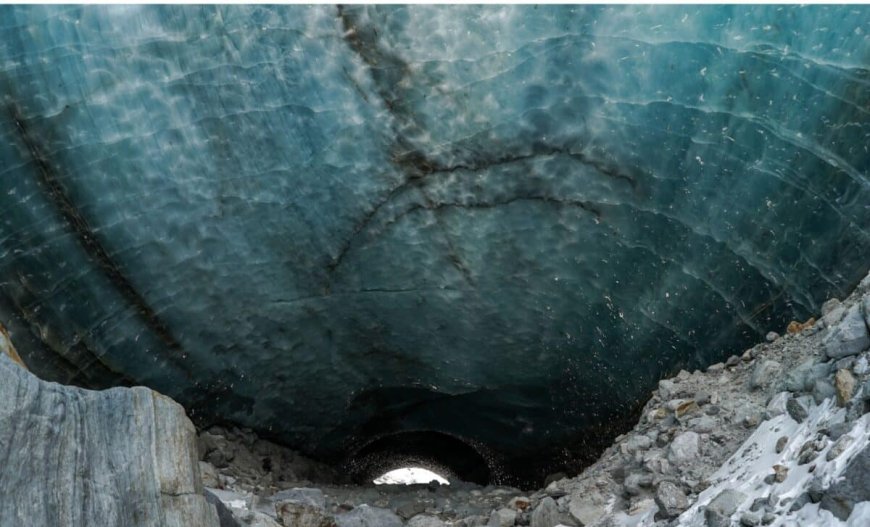Scientists Discovered 46 Arctic Species in a Norwegian Cave Preserved for 75,000 Years