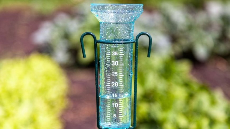 Up to 20" of rain needed to end Arkansas drought