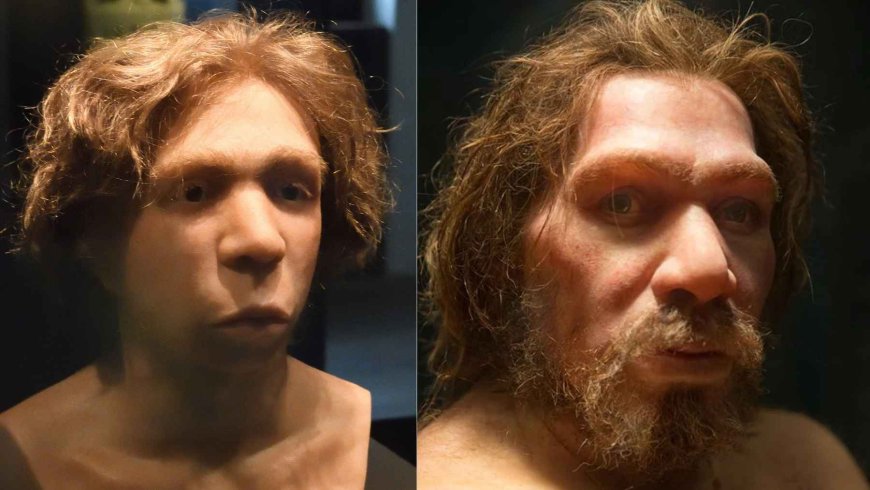 We carry Neanderthal DNA… except where it matters most