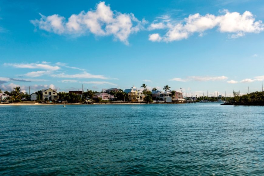 American woman missing in Bahamas identified as Michigan mom