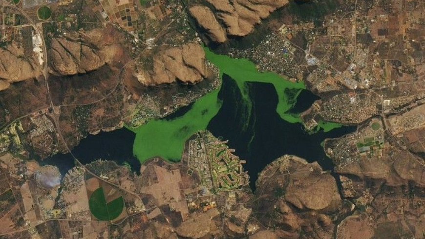 Seen from space, this South African reservoir glows emerald green and what’s happening beneath the surface tells a very different story