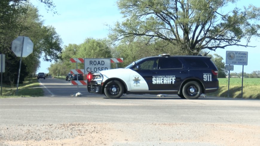 One dead after crash involving a pedestrian south of Wichita