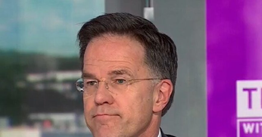 NATO Sec'y General: 'Some' in NATO Failed During Iran War, 'Large Majority' of Europe Didn't