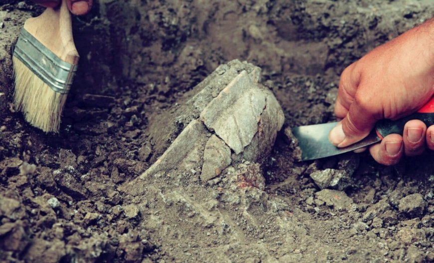 During A Routine Renovation, A Hidden Roman Camp Suddenly Emerged Beneath This Quiet German Garden