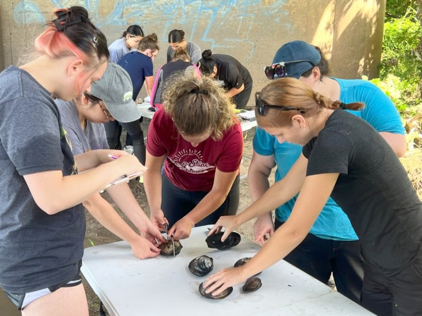 University in landlocked Kansas partners with marine lab in the Gulf