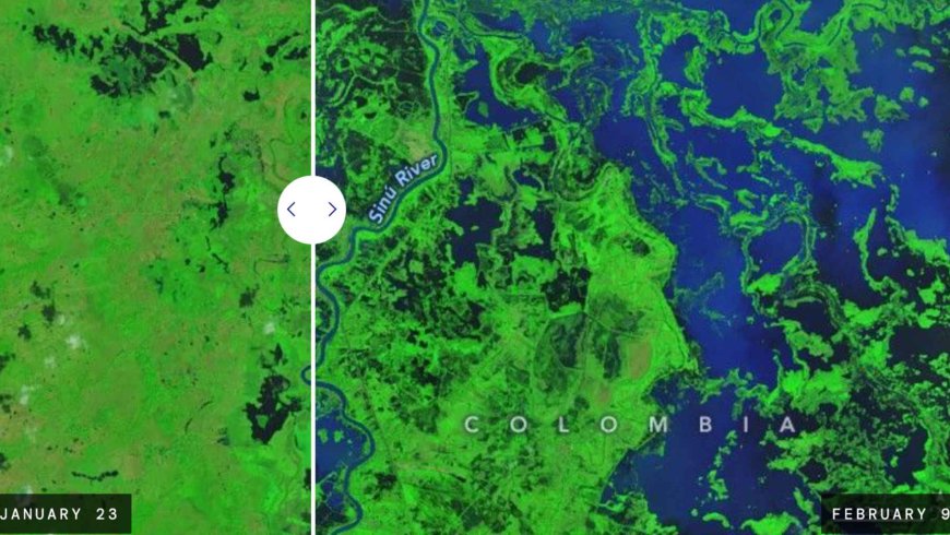 How one of Colombia’s most important livestock-raising regions came to resemble a giant lake in just a few days following the rains of February 2026, which were so unusual that they could be seen from space