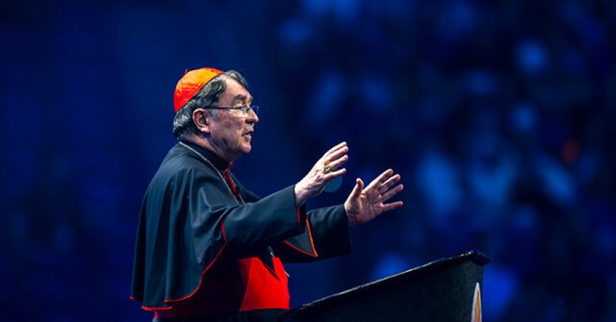 U.S. Ambassador to Holy See: Cardinal Pierre Calls Stories of Pentagon Threatening the Vatican 'Fabrications'