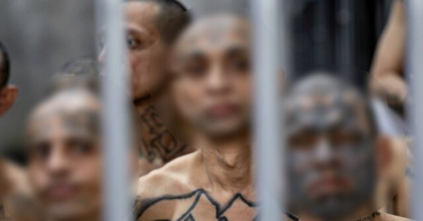 AG Todd Blanche Authorizes Death Penalty Against MS-13 Gang Members Accused of Killing FBI Informant