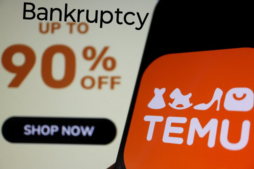 Temu is in Financial Crisis. Bankruptcy is imminent