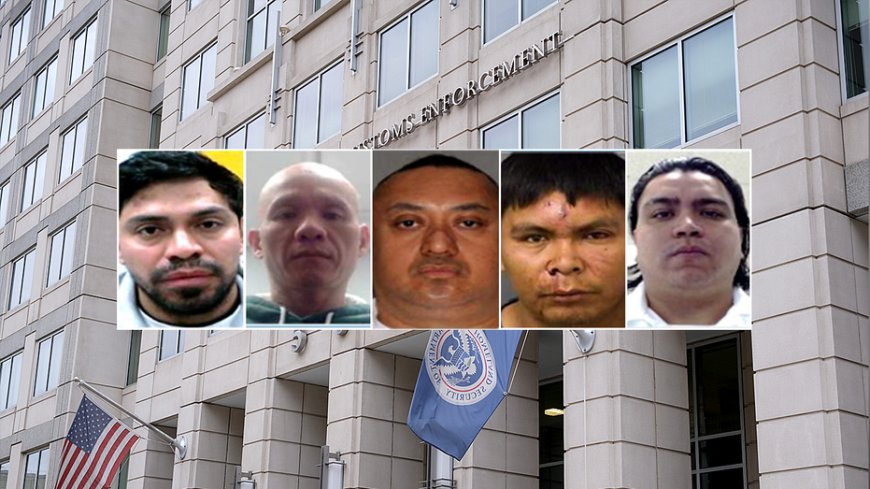 ICE says more criminal migrants arrested on 1-year anniversary of program to support victims of migrant crime