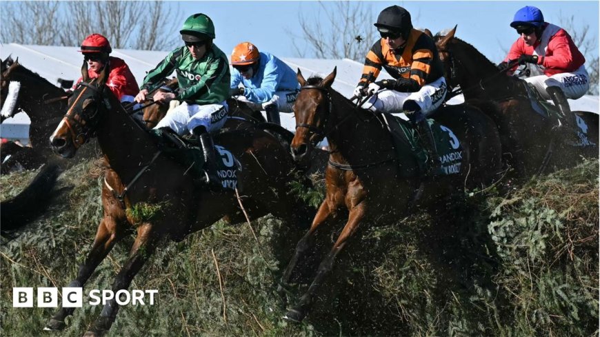 Can these stats help you pick Grand National winner?
