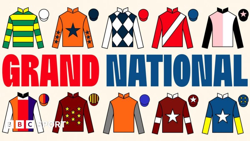 Grand National pinstickers' guide to runners