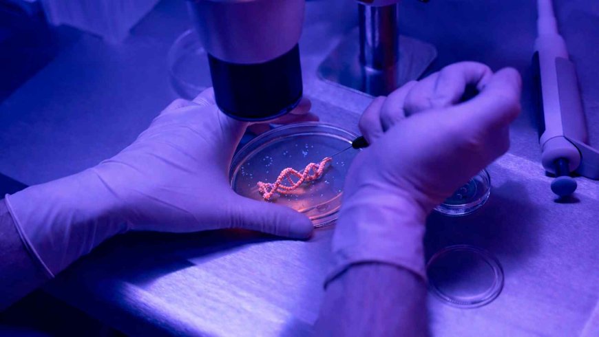 Scientists have discovered an ‘age counter’ in our DNA and now believe our aging process may have been miscalculated from the start