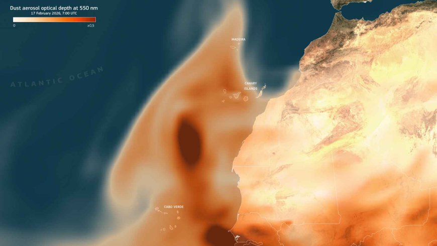 The “brown ribbon” that can now be seen from space continues to grow in the Atlantic, and scientists warn that this is not just another simple stain