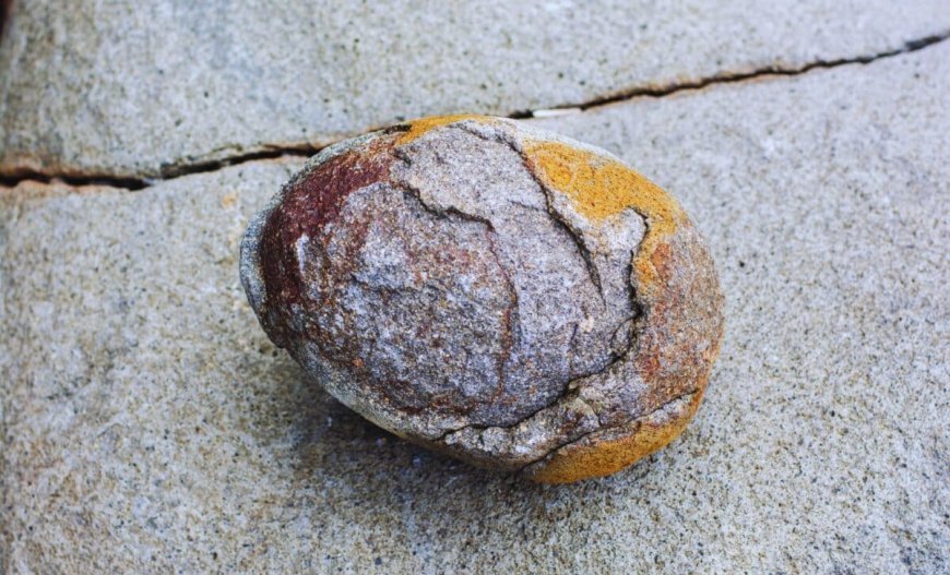 Scientists Just Found 190-Million-Year-Old Dinosaur Embryos With Preserved Proteins Inside