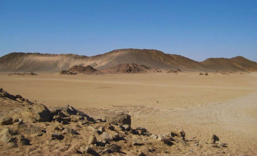 Scientists Say We’ve Been Looking in the Wrong Place for Human Origins After They Found This Fossil in This Forgotten Region of Egypt