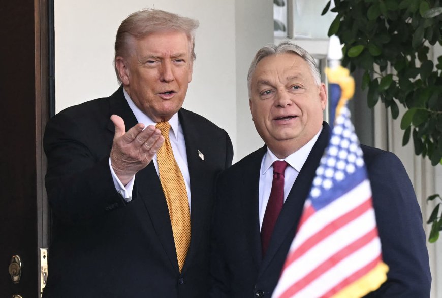 Trump Tells Hungarians To ‘Get Out And Vote For Orban’