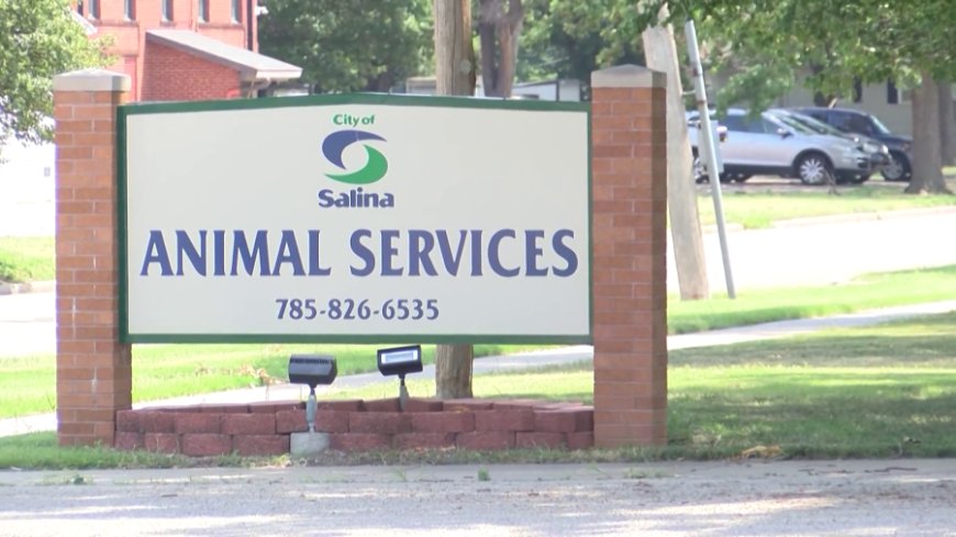 Prosecutor: Charges in Salina Animal Shelter case came after euthanasia of three puppies