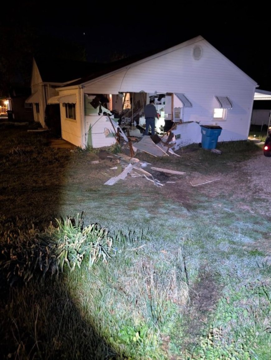 Unexpected visitor: SGF family recovering after car crashes into home