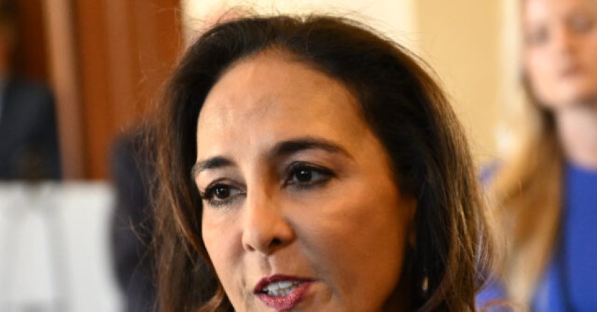 Assistant AG for Civil Rights Harmeet Dhillon: Trump DOJ Will Sue If Virginia Gov. Signs 'Assault Weapons' Ban