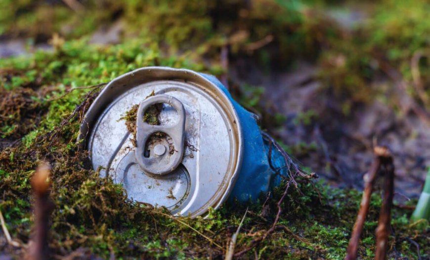 Two Hikers Found a Simple Aluminum Can in the Woods Filled With Nearly 600 Gold Coins Worth $330,000