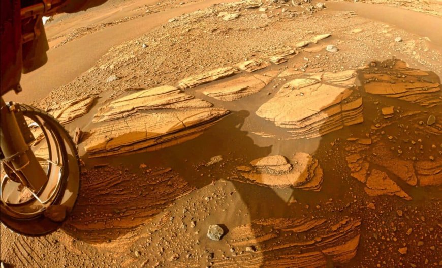 NASA’s Perseverance Rover Has Discovered Hidden Gemstones Never Before Seen on Mars
