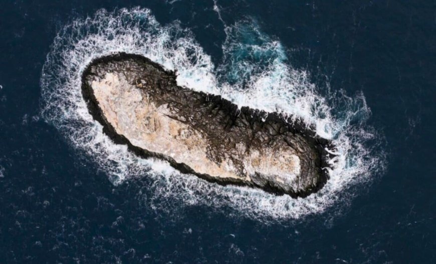 Scientists Fled a Storm in Antarctica’s ‘Danger Zone’ and Accidentally Found Land That Should Not Exist on Any Map 