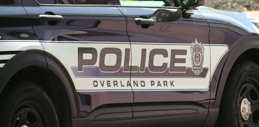 Police investigate early morning fatal crash on I-435