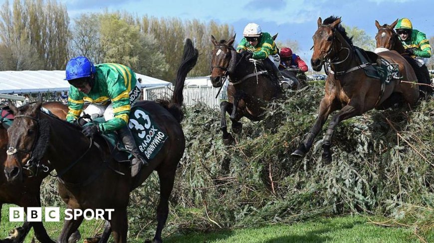 Grand National 2026 result: Where your horse finished
