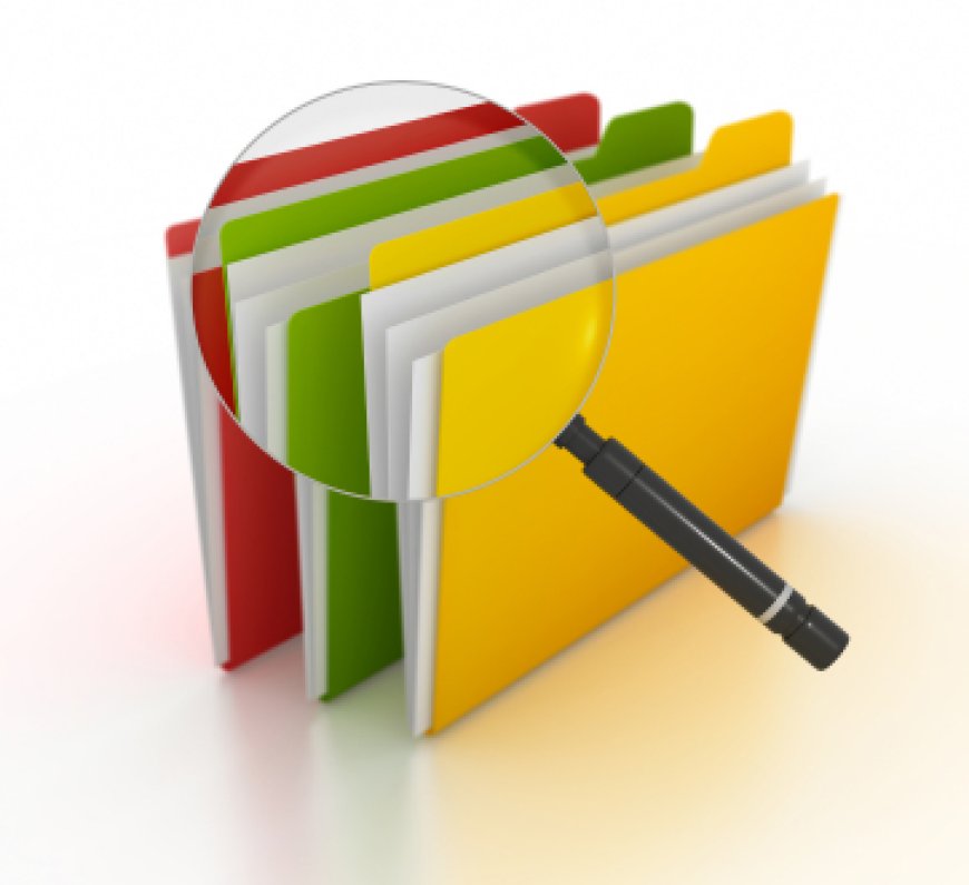 Detecting Overrides of Internal Controls