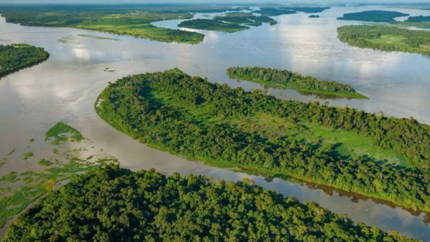 A study published on February 23, 2026, uncovers a silent leak in two dark lakes in the Congo and reveals that up to 39% and 40% of the carbon they release comes from peat that accumulated thousands of years ago, offering a troubling clue to the great climate puzzle