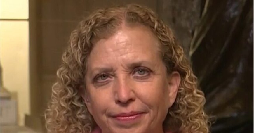 Wasserman Schultz: Trump 'Owns the Chaos' in Middle East, He Didn't Consider Iran Would Attack Allies