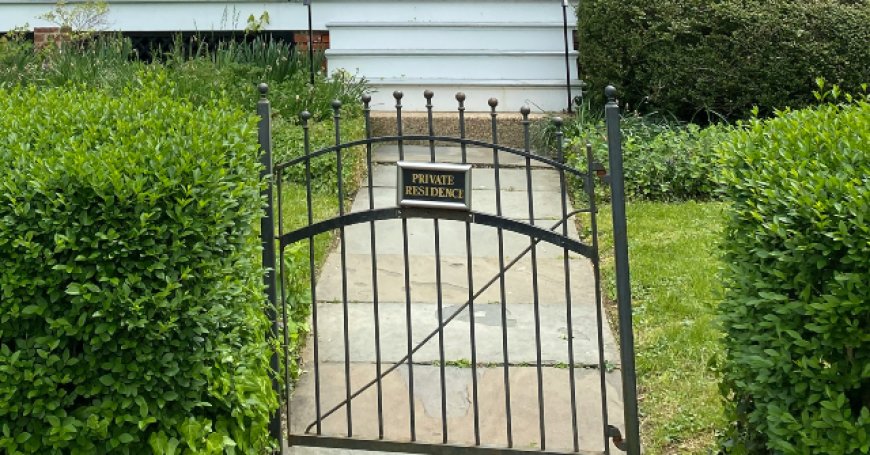 WATCH: New York Grandmother, 75, Attacked for Asking Dog Walker to Pick Up After Her Pet