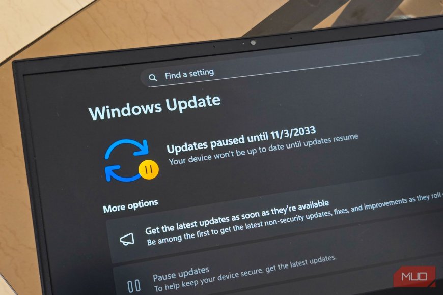 I stopped letting Windows decide when to update my drivers