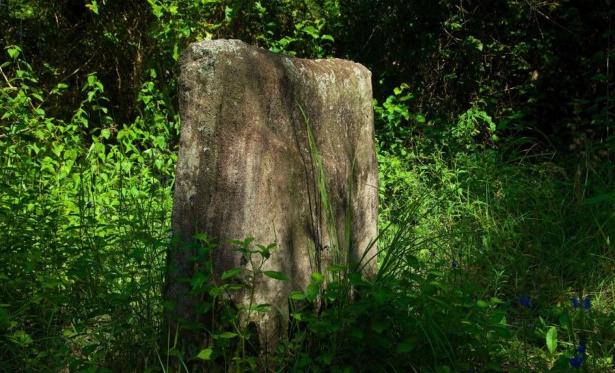 A Student Found a Single Stone Hidden Beneath an English Forest That Led to a 3,700-Year-Old Ritual Site