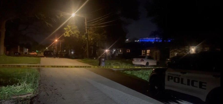 Four arrested after Saturday night shooting in Springfield