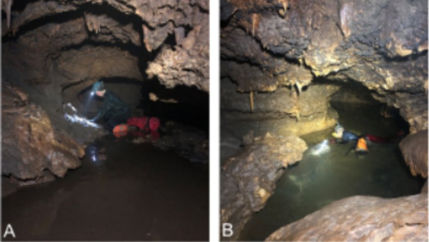 Scientists entered a flooded cave and discovered a hidden Ice Age world where giant armadillos and massive tortoises once lived