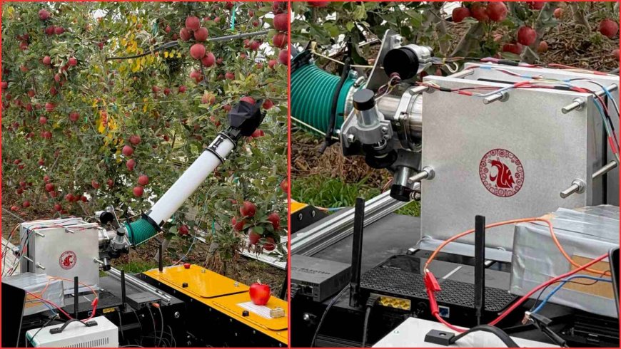 No more day laborers or manual harvesting: goodbye to traditional harvesting, hello to robots