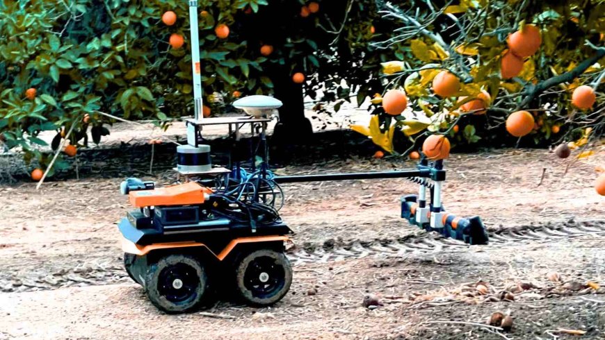 Say goodbye to blind watering: this new robot knows which trees need water and which don’t