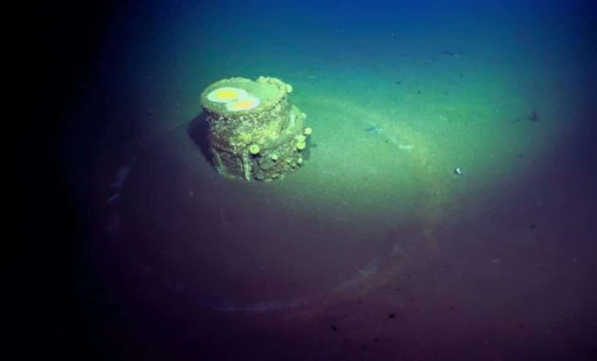 Scientists Have Discovered Mysterious Barrels Encircled by Strange White Halos on the Ocean Floor