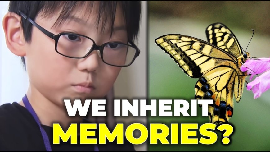 The Butterfly Blueprint: How a 10-Year-Old Shook the World of Entomology