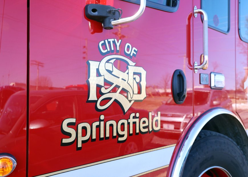 Springfield man accused of starting fire that killed 10 cats