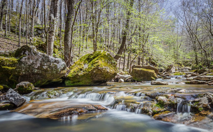 Hiking Guide: Take a waterfall day trip to Smith Creek Preserve