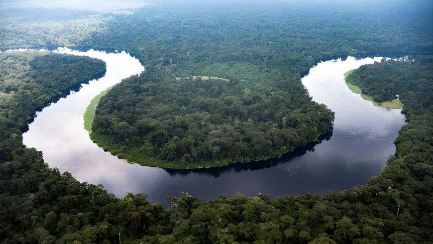 One of Earth’s major carbon sinks may be beginning to release carbon that has been stored for thousands of years, and signs of this are already appearing in two dark lakes in the Congo