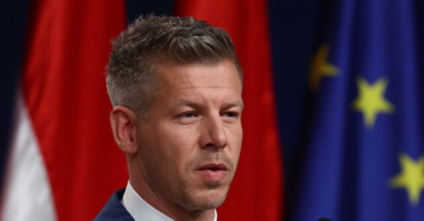 Hungary Elections: Who is Peter Magyar and Why Are Obama and Clinton So Excited About Him?