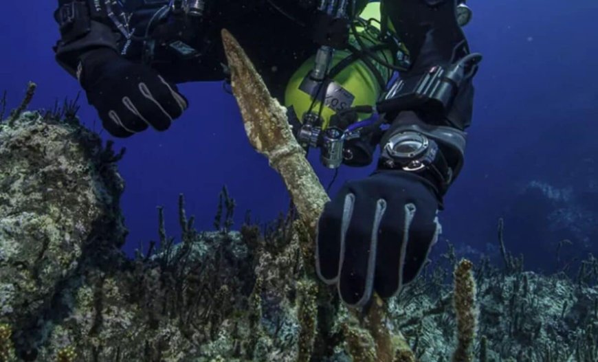 In The Greek Islands, Divers Have Discovered More Than 50 Remarkably Preserved Artifacts from a Shipwreck Beneath the Seafloor
