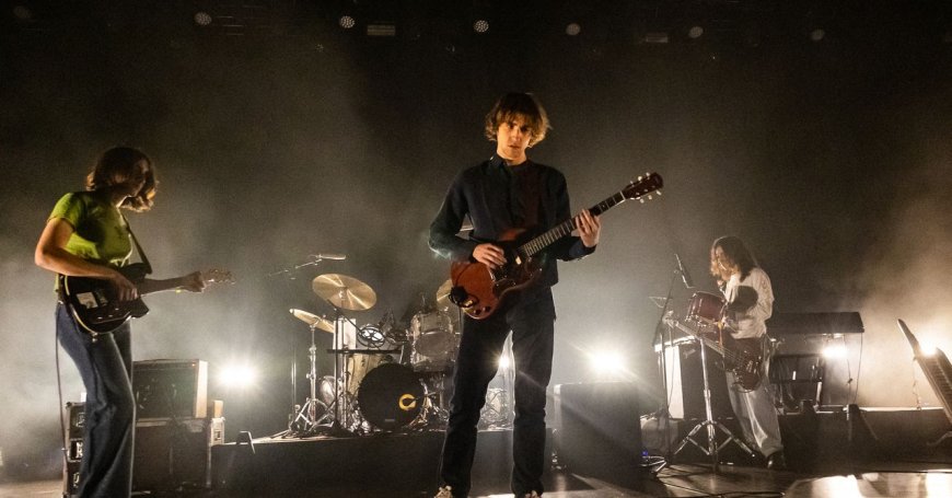 The Fanfare Around the Band Geese Actually Was a Psyop