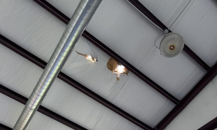 Kansas dance studio recovering after being hit by an EF2 tornado