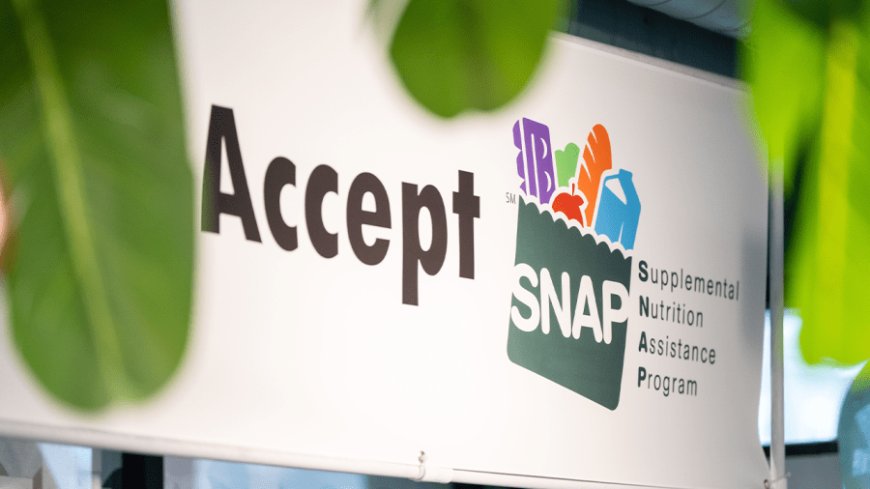 Up to $1.2 million in Kansas SNAP benefits paid to people outside of the state: audit
