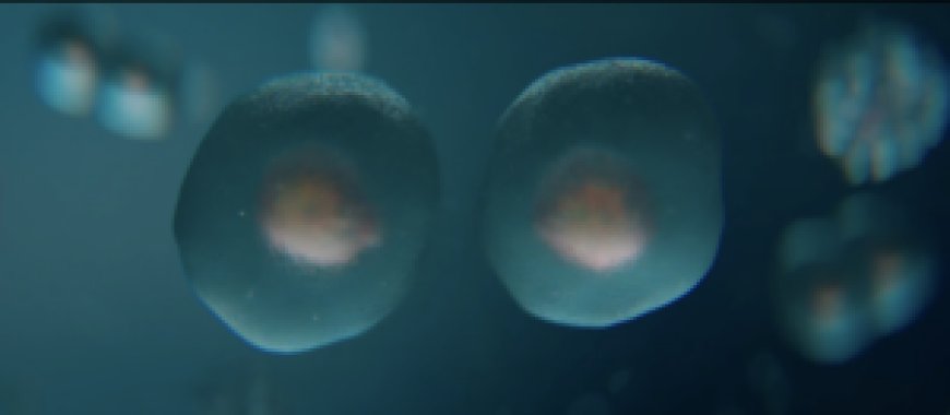 New Film Questions Limits of Darwinian Evolution as Debate Continues in Scientific Circles